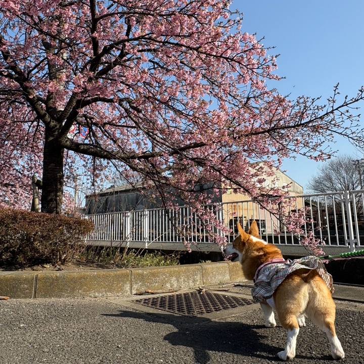 9864b962 6ea3 4bc0 98a8 5a274dc891c6 1772364991208