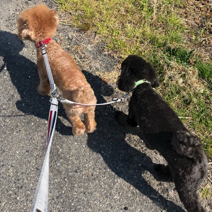 9864f11a 36ab 4cde b5c7 ad822370afa6 1588062305630