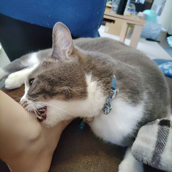 9864f661 7179 4c5b 8581 330713a07d78 1714911549608