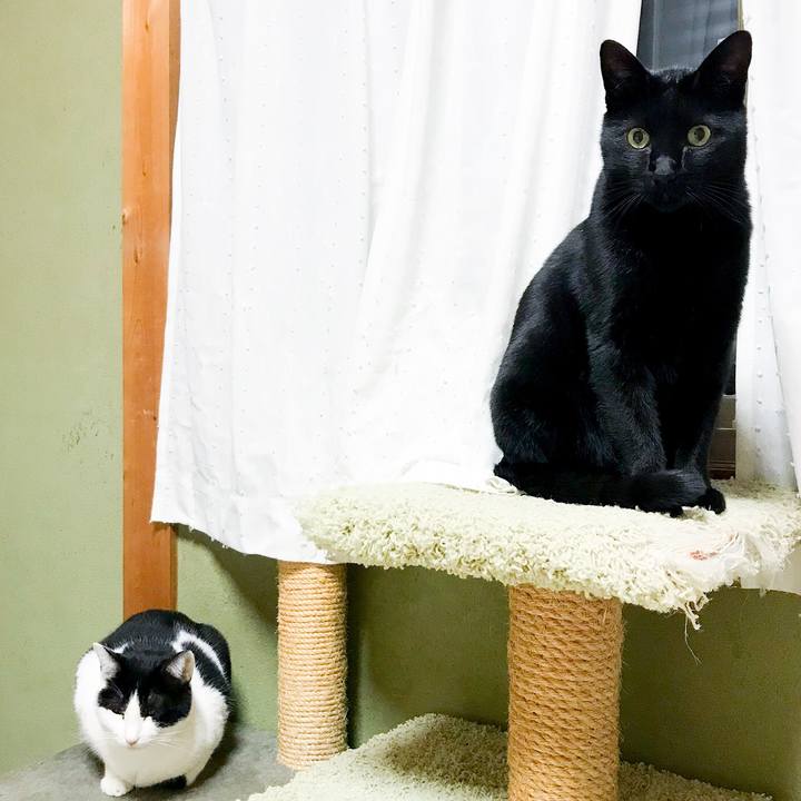 9864f6de 8e39 4a6b 9ab9 5edf21973b49 1514549390211