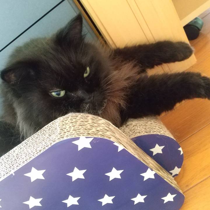 9864fde9 09b1 41d9 b27d b8bc549f6ff9 1664752139258