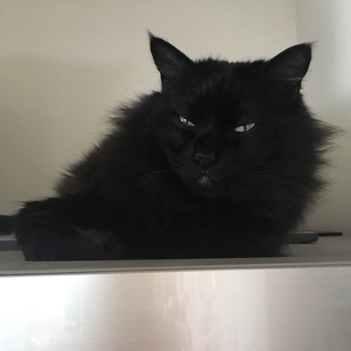 9864fee5 5460 4e23 b27c a1fe350ca41b 1552039604759