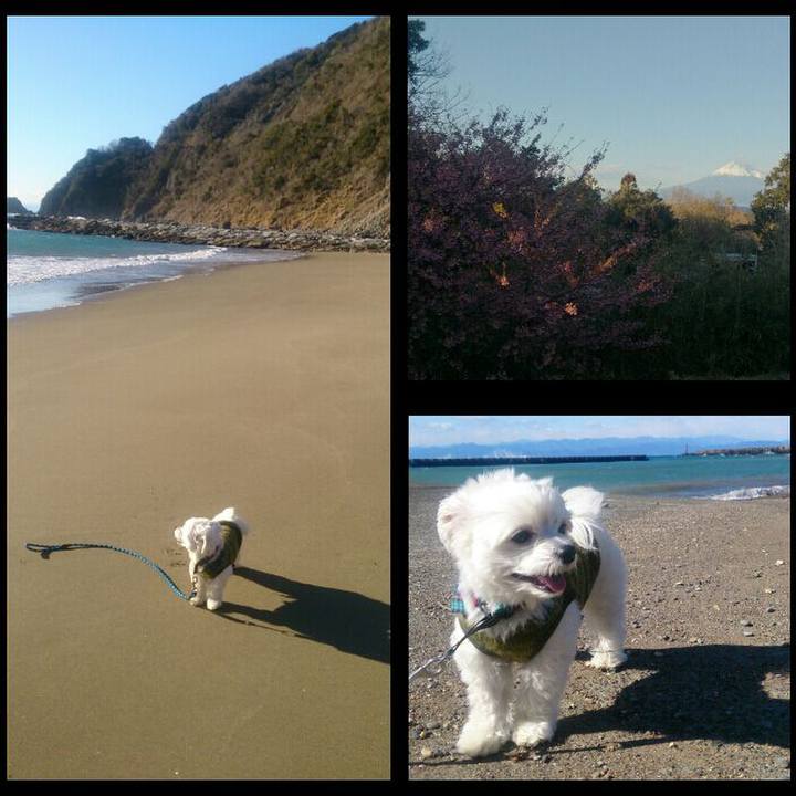 986541b9 f92c 46cc b57a 402e594395d8 1517988750988