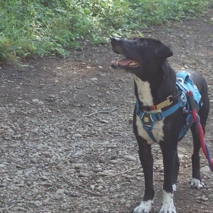 986544bc 2aa5 4920 9cd1 bf2f92593b23 1623111981650