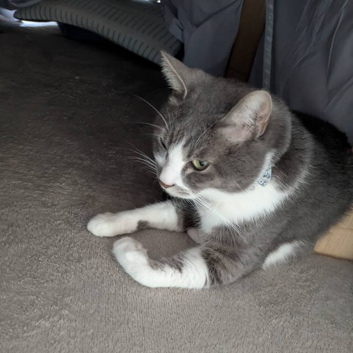 98658d1f f2ed 469e 93a6 b221682fd642 1766801573109