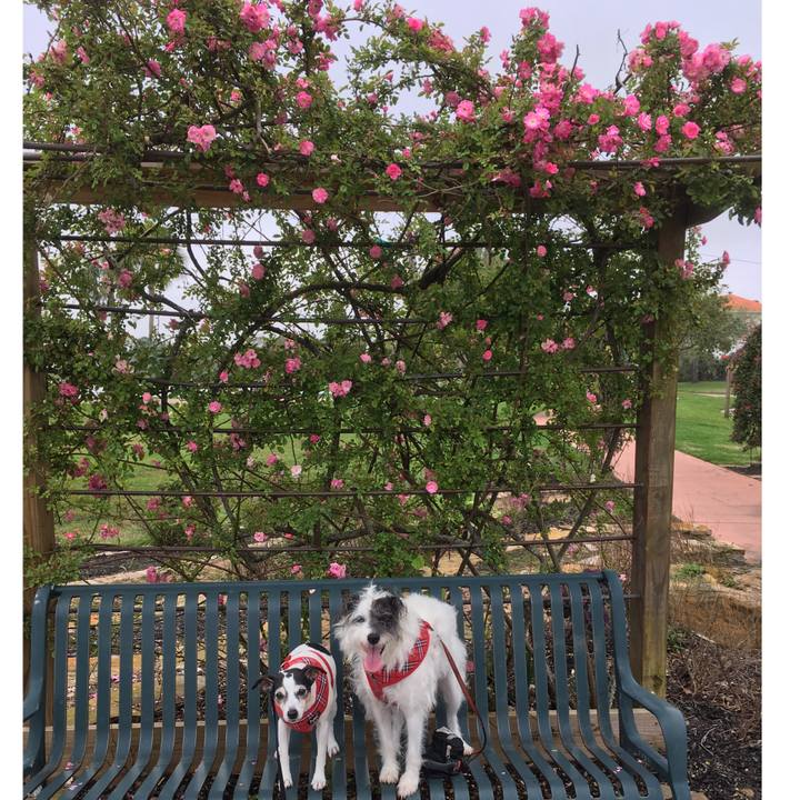 9865b1be 2af4 4bd6 b020 176f67f7da0a 1552427860427