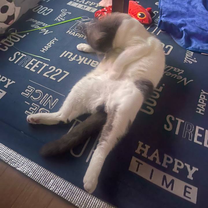 9865bc41 bb79 41b1 bd04 9cad9de12f70 1729097287661