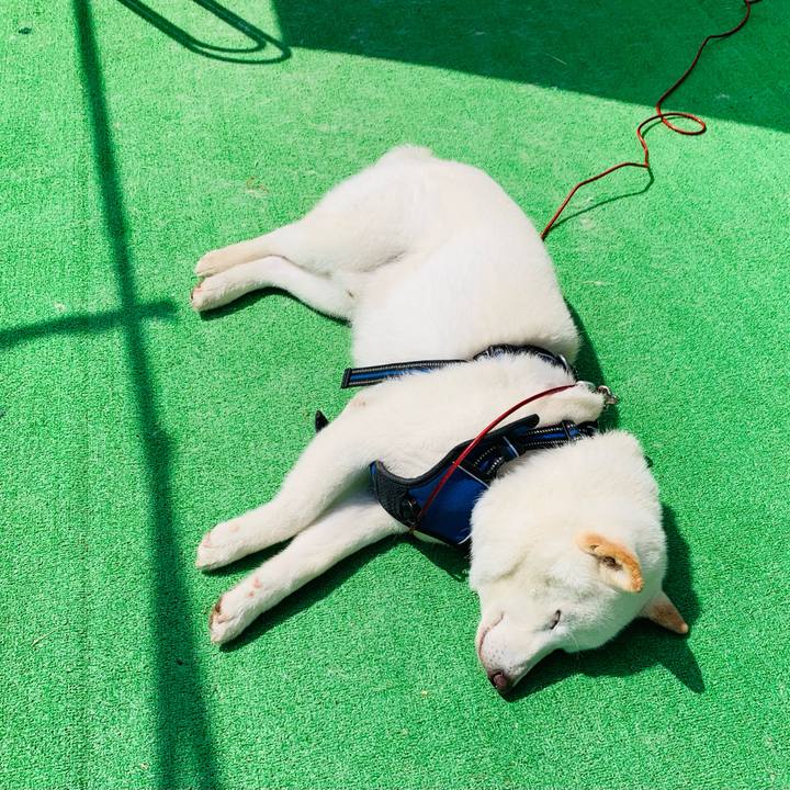 9865c95e 4510 4102 8899 b849d6fd3193 1626842597017