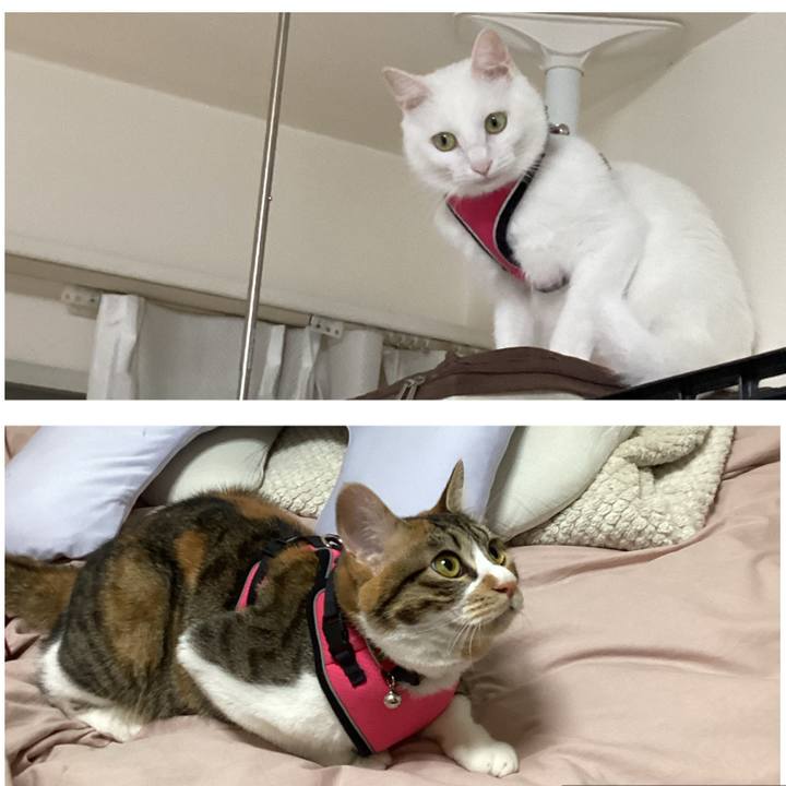 9866024d 27f2 4be3 8035 ac531707e99e 1652415924264