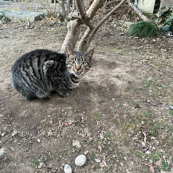 98665357 c448 4e35 b6d4 388603614364 1642283532124