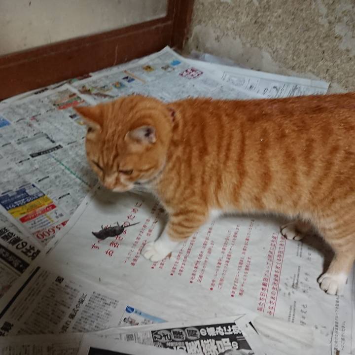 986671ea 94d9 4592 b71f 3e590fe0c069 1604825109761