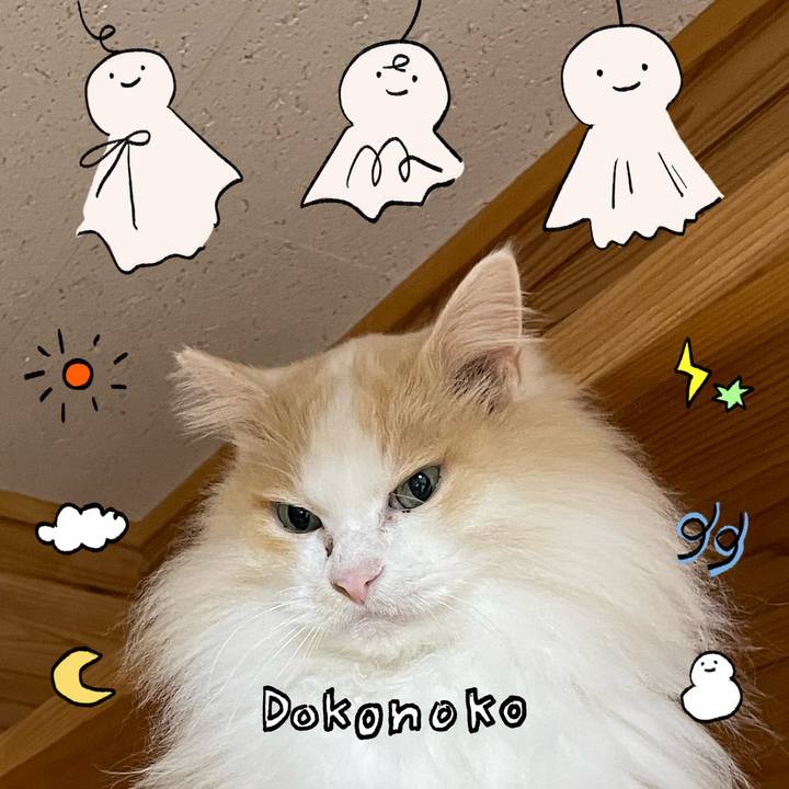 9866762a 15a4 48d4 8736 17802c80ad2c 1749116834081