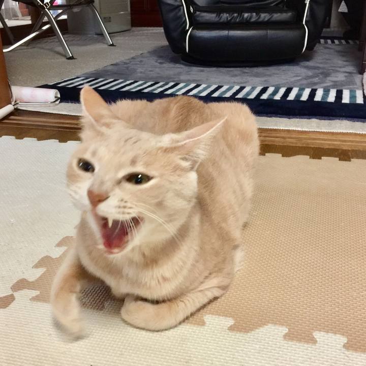 9866af0b 17cd 427b bfe2 e7038c8f4f39 1525313738663