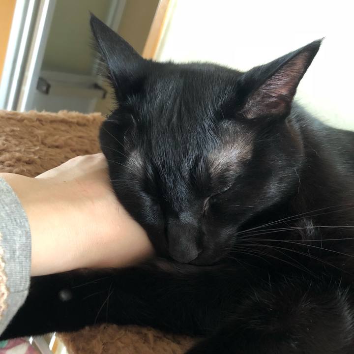 9866ce67 b558 492f 97f5 617660b43c0a 1541912014902