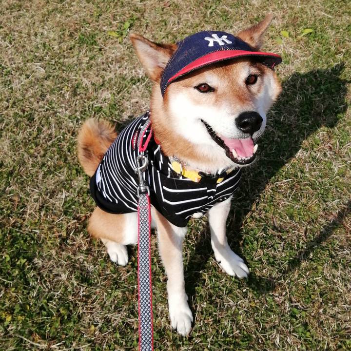 9867026b 7c56 46e3 a386 c91adda3bdb3 1637403713627