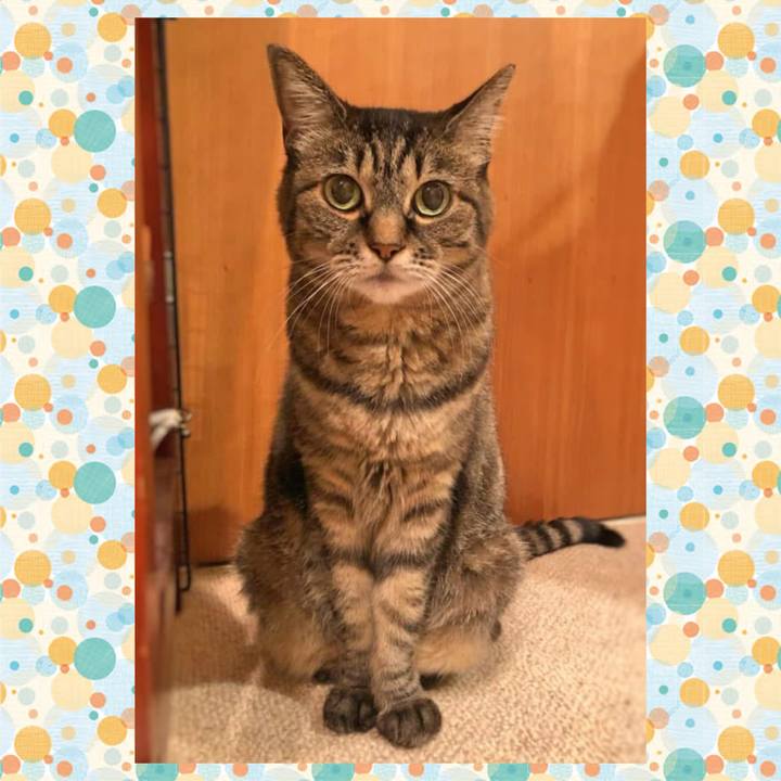 9867193e 76c6 4411 a16e 3ae02b183d1e 1759959581221