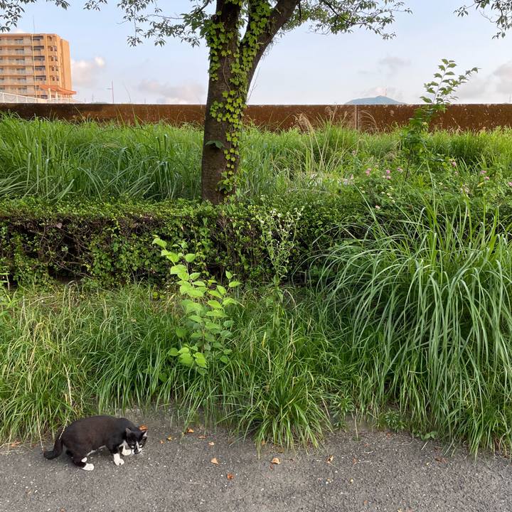 9867dcb0 f563 406f b5f4 01637f339194 1654343413413