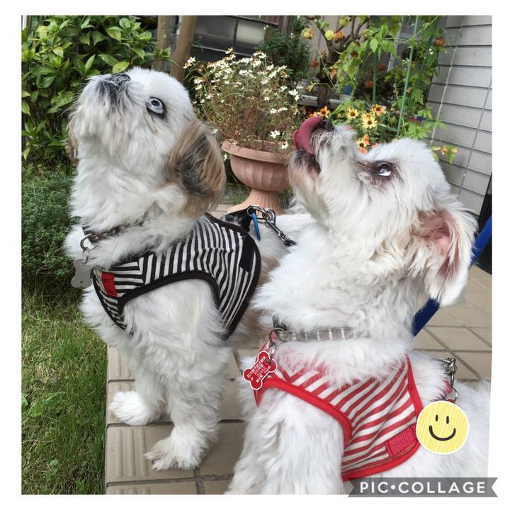 98681fb3 6091 44fb 8aca 551a0e1937c0 1604383808562