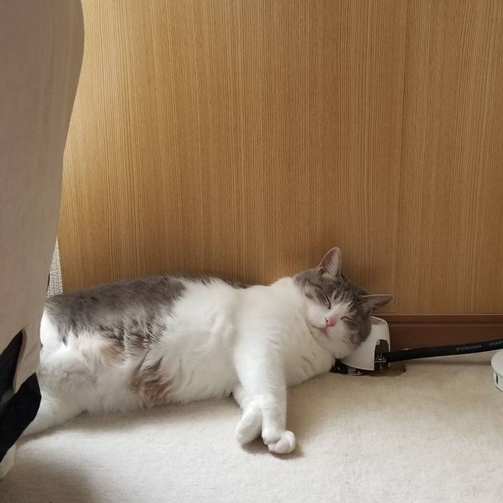 98682d5b c873 4d1d b950 083ba2290059 1620713527357