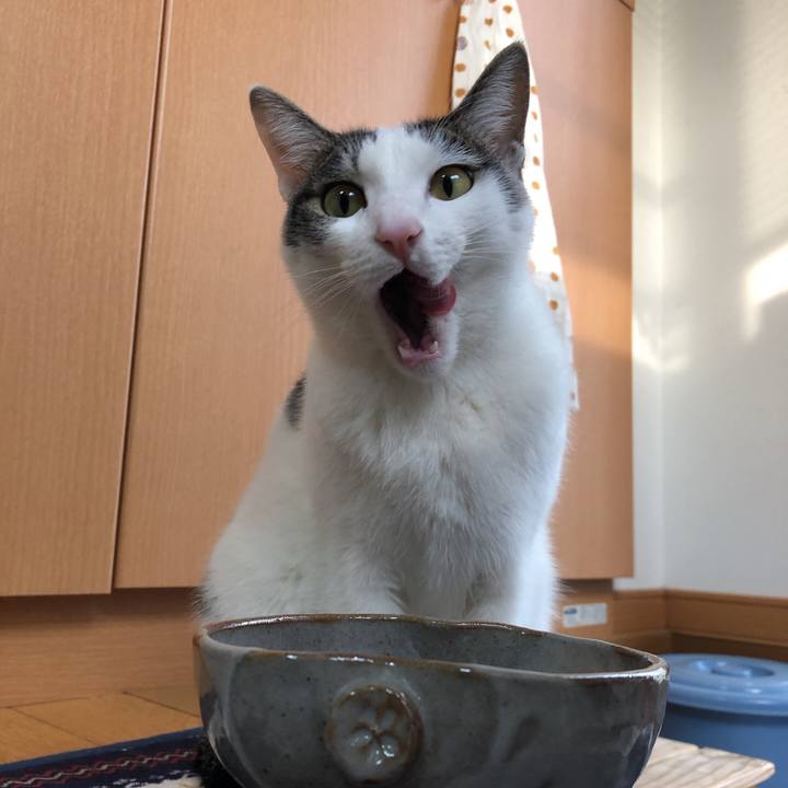 986835b8 f12e 420e 8b04 296a6db6c357 1617833729395