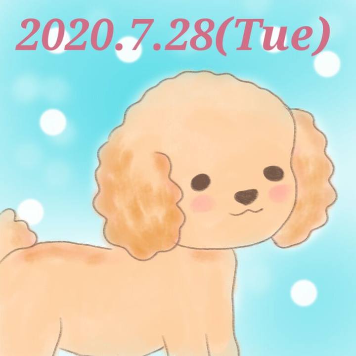 98684e77 9726 40cc b725 bf83c5b4eccf 1595935131364