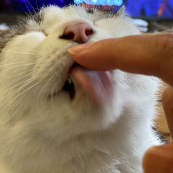 98685253 3064 4e10 899d 2755ff9e309e 1602061425602