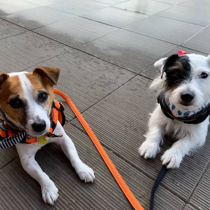 9868688c eabe 4060 9208 0933904847e0 1565757119867