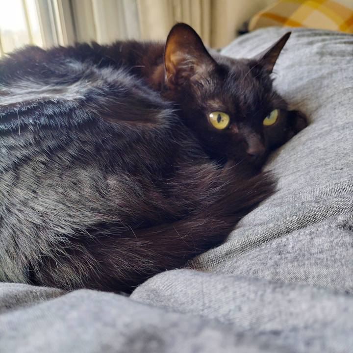 98689d27 09cc 408f 8e53 fd927f0d331f 1714700971256