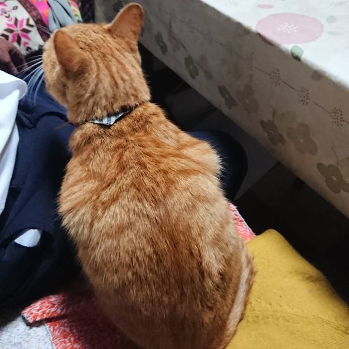 9868eb73 4763 4d48 9a4f d3cd0c5d5e7c 1570612469723