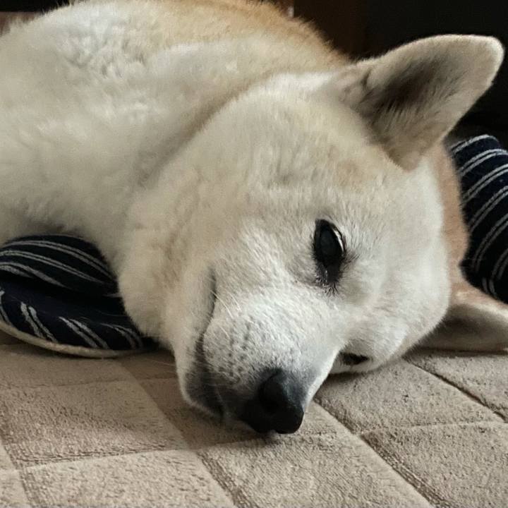 9868ff58 3fd7 48ae 88a1 5a54fd9f9572 1624884265019