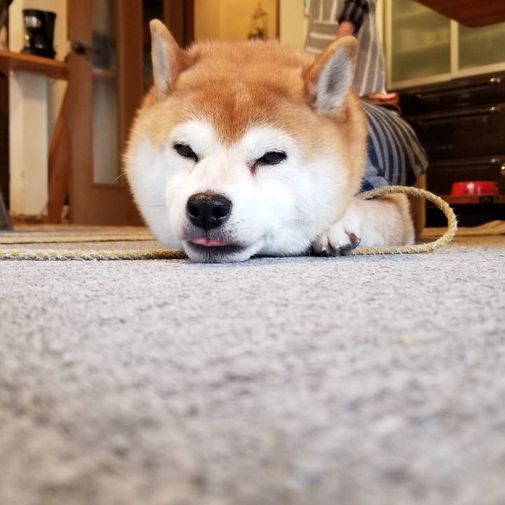 98690a22 7b0c 4df6 80e1 0e881ada5b69 1575512270565