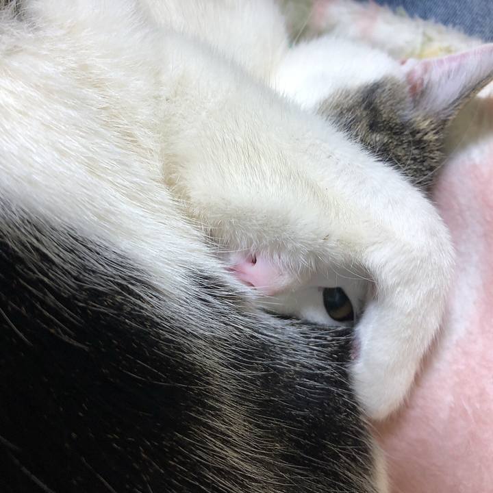 986910b3 1bc9 4b50 819d 42d7369ee00f 1648553437799