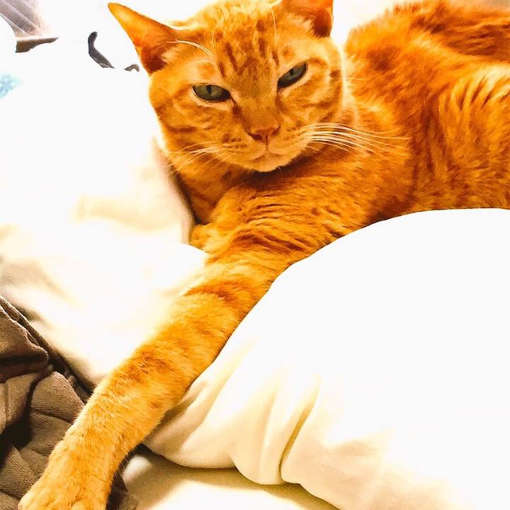 98691a20 c122 403c a02a 121d690d4b33 1570099494315