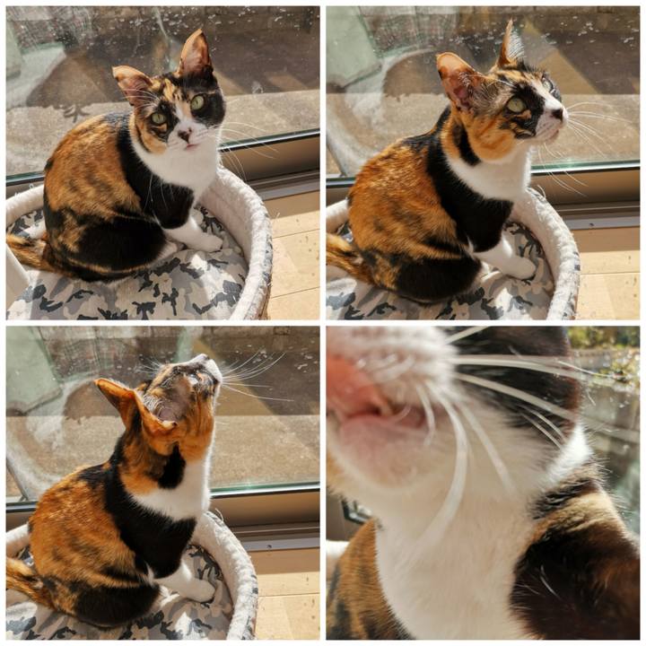 98693404 e27a 4bc9 9d4e 3d8a0943e6b7 1681103676959