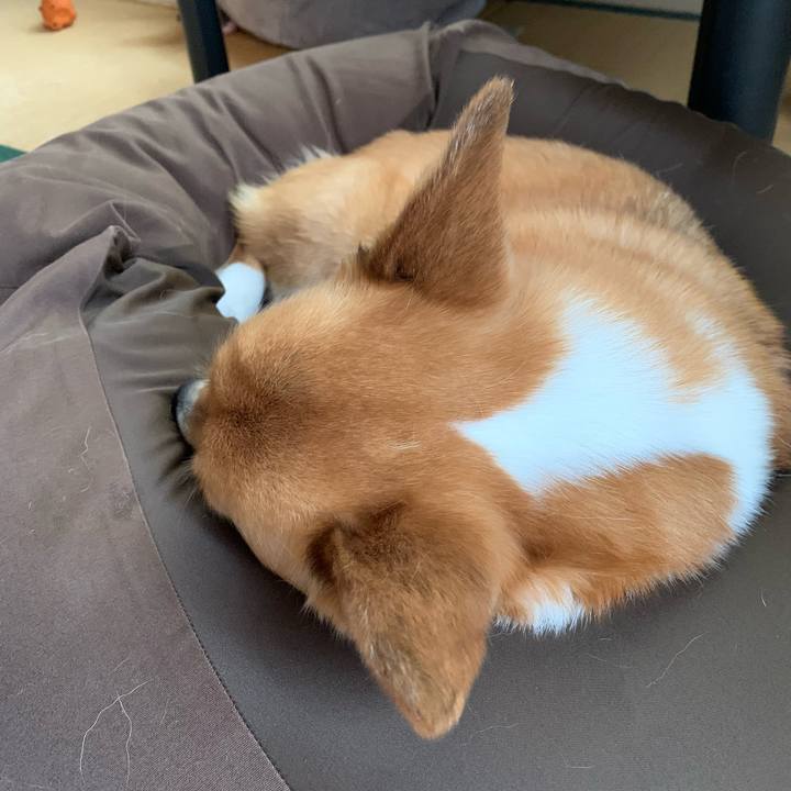 9869554f c5a2 4017 ba13 bd7c9af5e7b6 1653959217167