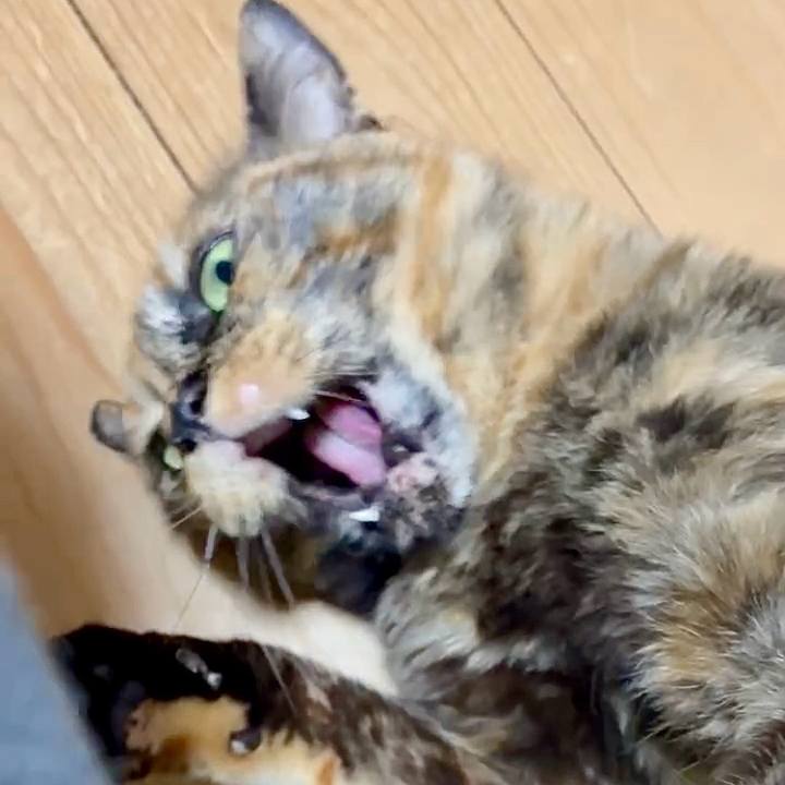 98699e04 b1bd 4737 a2ee 0b25a83c5749 1749503576780