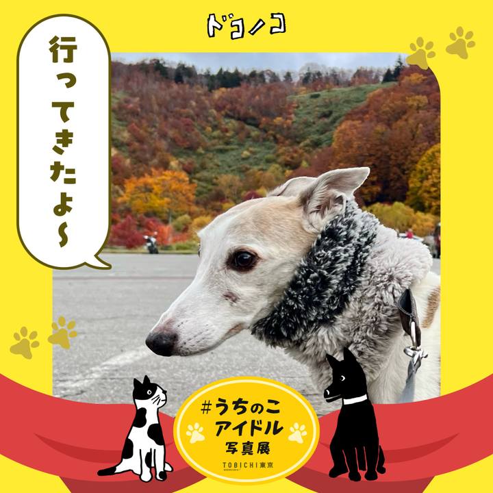 9869b21a 80d6 486a a13e 1018a217391d 1761380402407