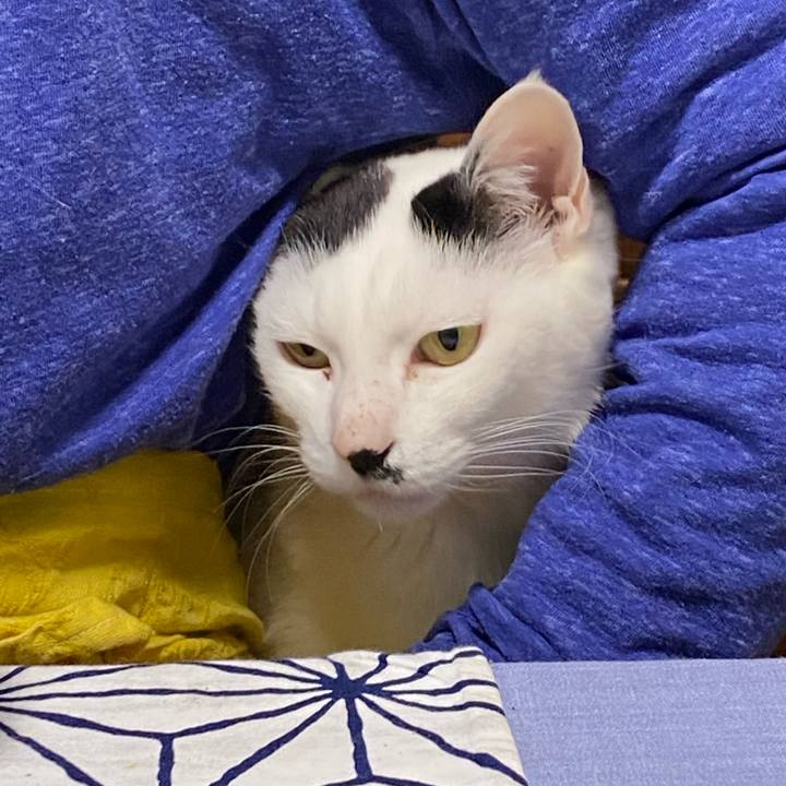 9869c122 4e8e 4a24 807f be7242535feb 1616762719568