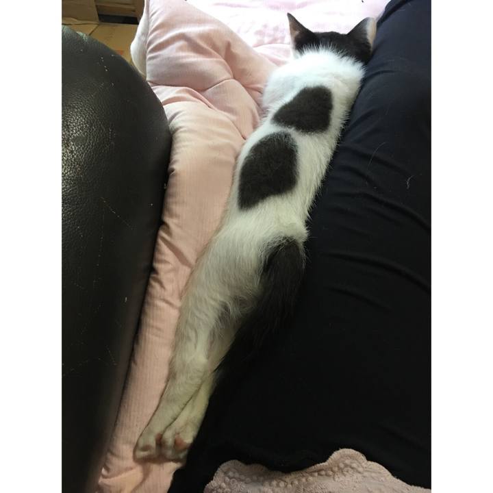 9869fee6 7626 4282 8095 e53b6e26ab75 1530440461928