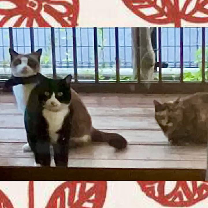 986a261f b60b 4123 89b3 0756f52c127d 1731922901477