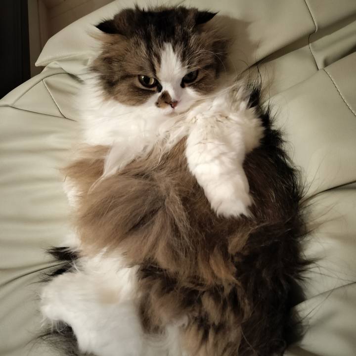 986a36d3 74e6 4a58 ab1b cabbd2191c03 1763646031765