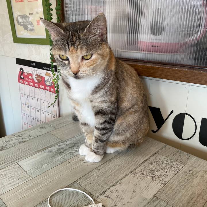 986a61a0 15b4 4027 ad5d da3256b865f3 1582083104000