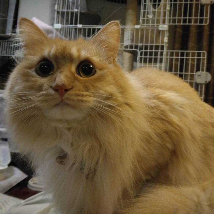 986a7687 2e45 4fd5 bcc5 7b08ac806a0c 1680006780086