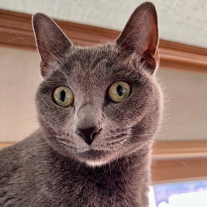 986aaa9d f5cf 4e23 83c6 1f38648553e0 1641521159965