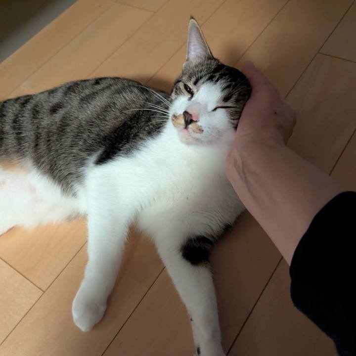 986acff7 ee0d 4ac4 8ee1 0cfd0f648fc4 1738208910979