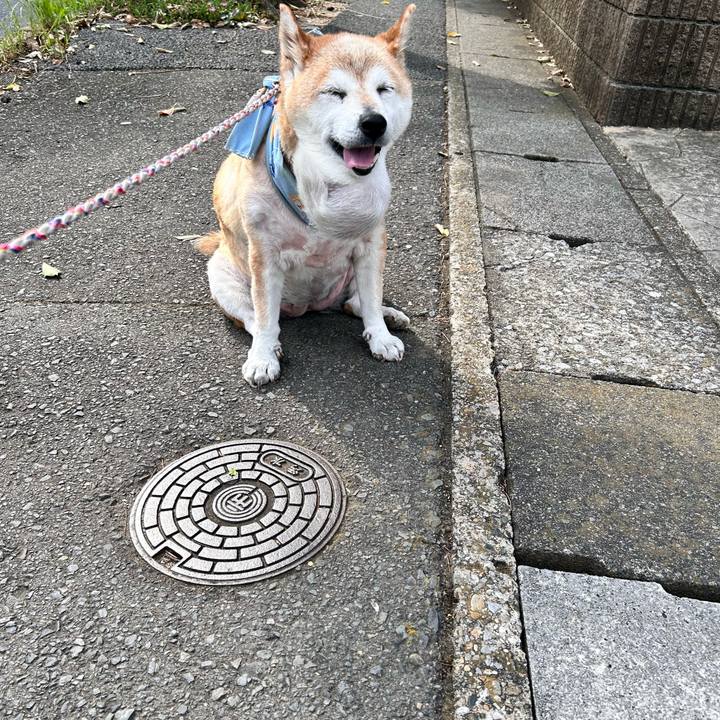 986aee48 b618 4bcf bc70 bf91b5618c54 1755301747104