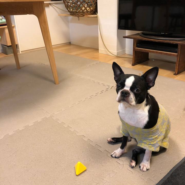 986b1324 86f7 4b5e 86e7 40ab3064afc9 1613467942207