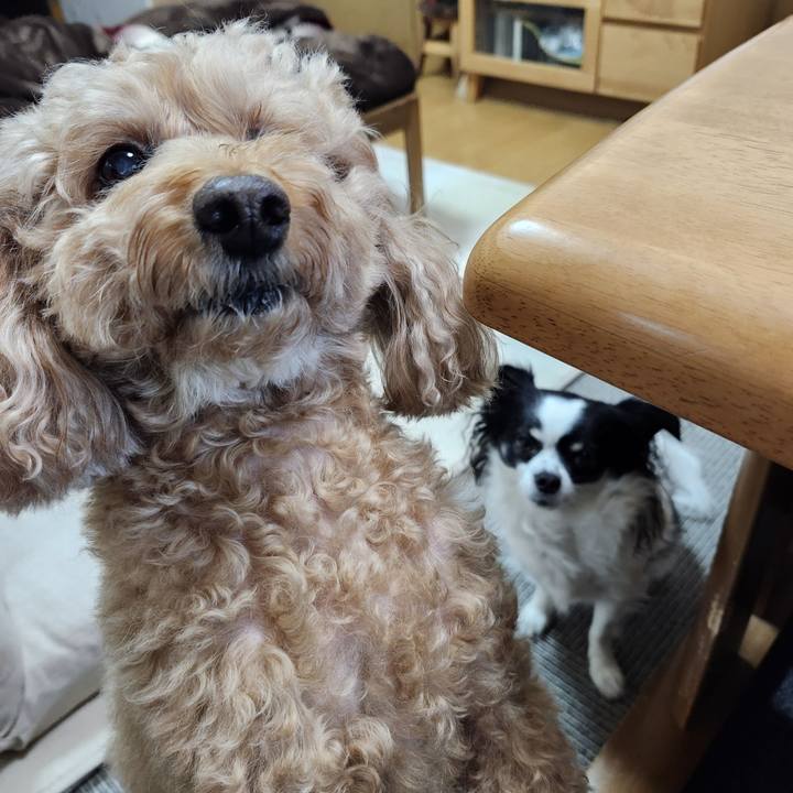 986b1bb7 9878 4fd4 8f04 eeec30e55e9d 1764545302481