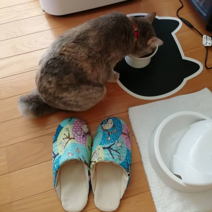 986b2212 e681 4450 a497 d1caecf340f1 1533974866740