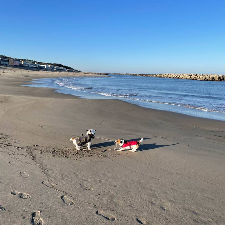 986b7e78 eba0 495b 8601 69ff8bed2ad3 1677541039862